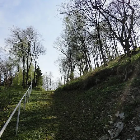 Studio Wangen ブルク・ロイラント